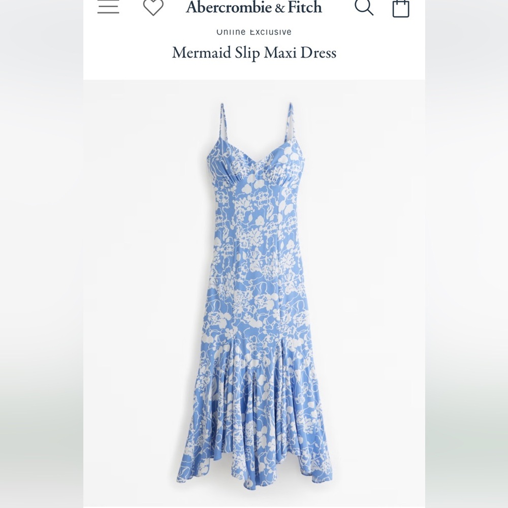 Blue Floral Maxi Dress